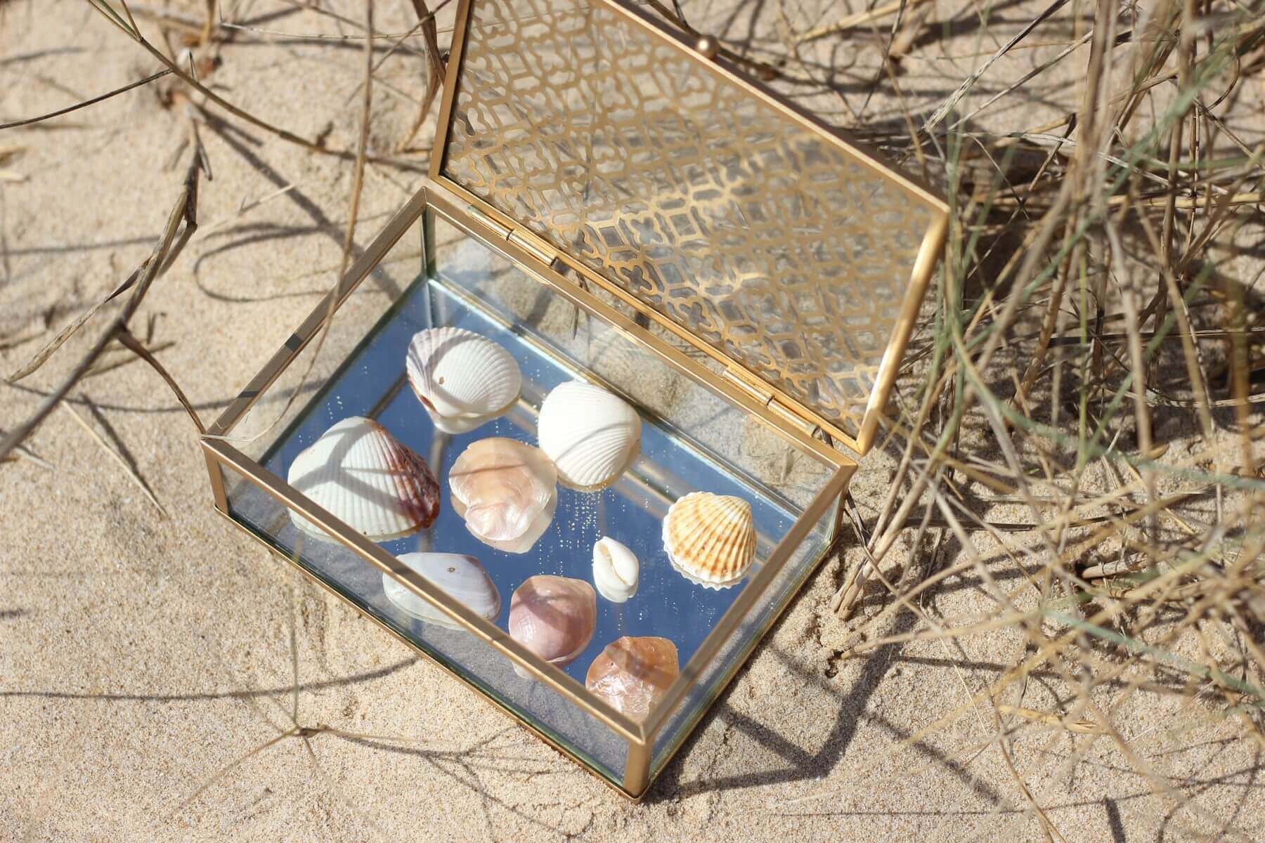 Boîte en verre remplie de coquillages posée dans les dunes