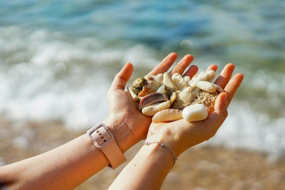 Coquillages dans une main, au bord de l’eau