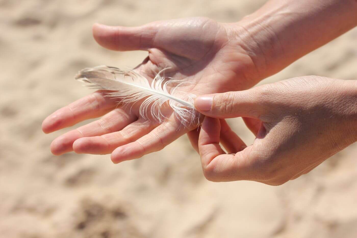 Plume tenue entre deux mains au-dessus du sable